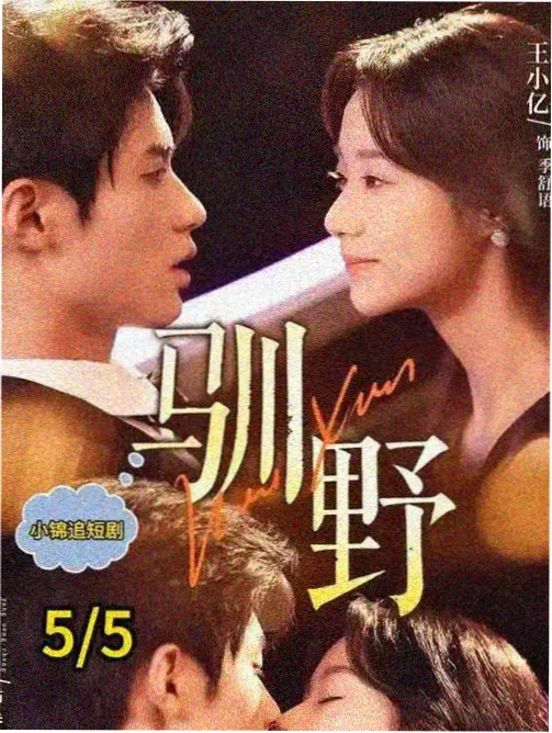 无声证词 律政剧