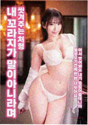 候鸟航线 纪录片